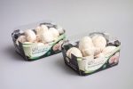 Emballage de champignons- Barquettes en carton