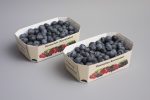 Emballage de baies - Barquettes en carton