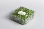 Emballage de salade - Barquettes en plastic